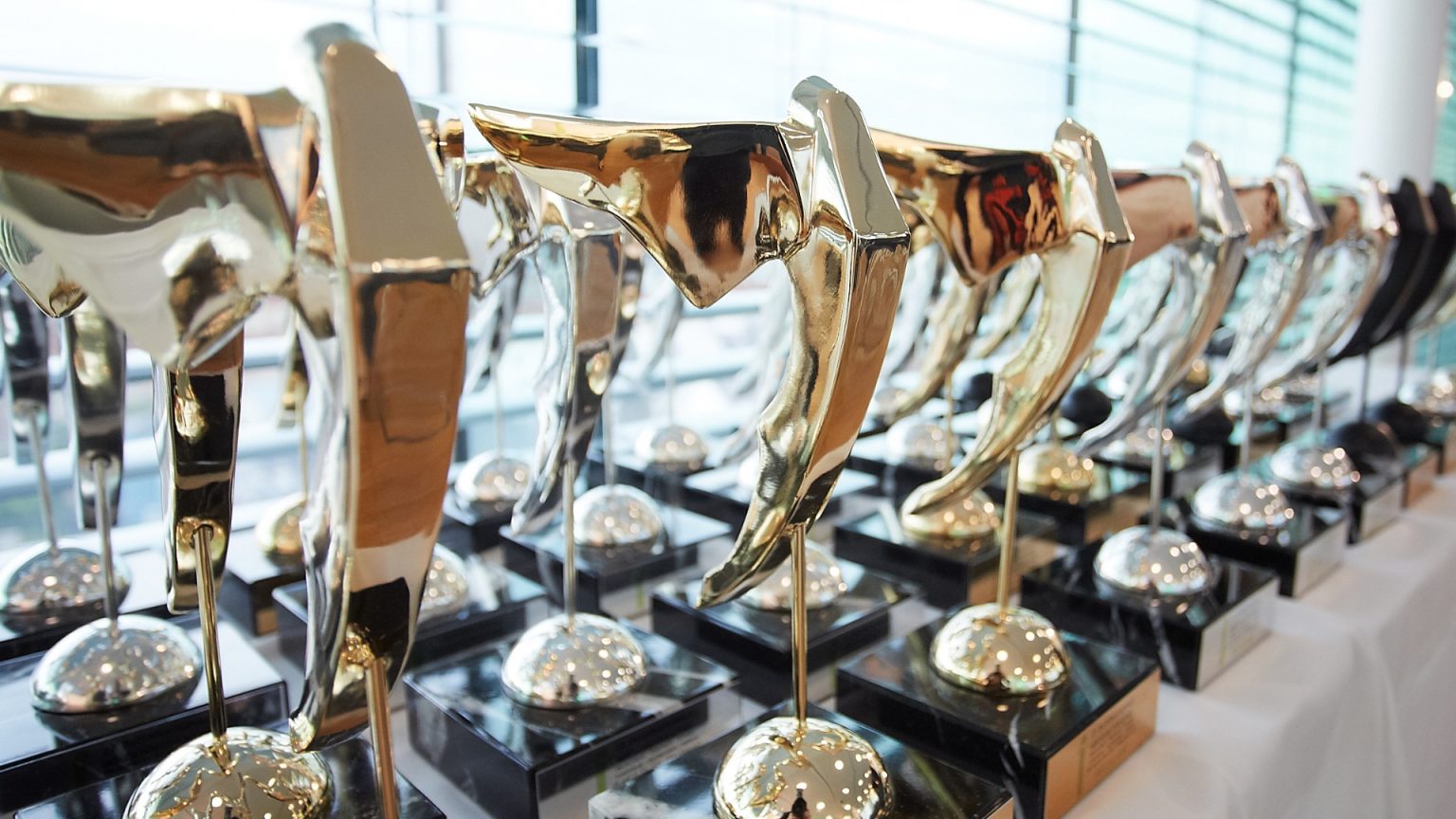 The value of International Tourism Film Festivals